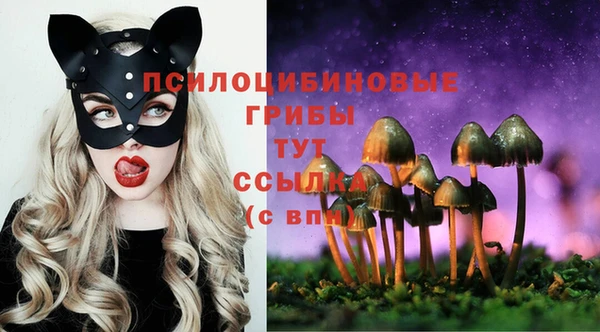 гидра Балабаново